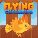 Flying Challenge 4 flying challenge 1